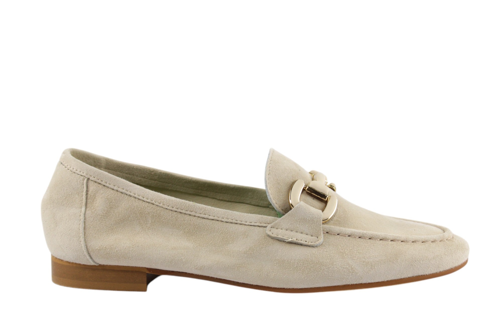 DANTE 11CAMOSCIO FONDOTINTA