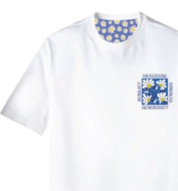 AU25S21TGDAISY OPTICAL WHITE