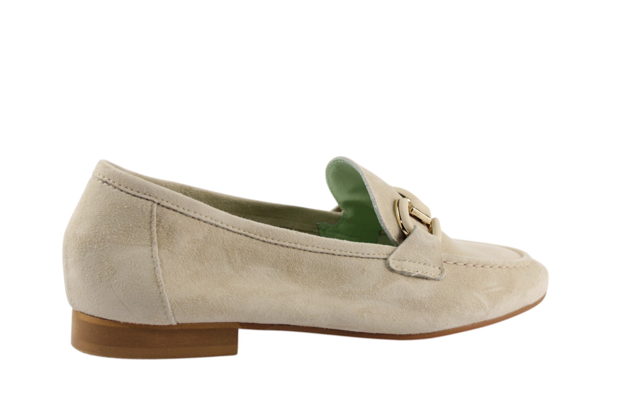 DANTE 11CAMOSCIO FONDOTINTA