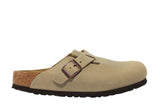 BOSTON960813 TABACCO BROWN