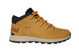 A1XVQ231 WHEAT