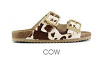 BIO502COW