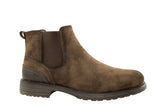 SERGE002003 DK BROWN