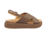 A96005PRALINE