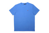 NP0A4H8DB9A BLUE JASPER